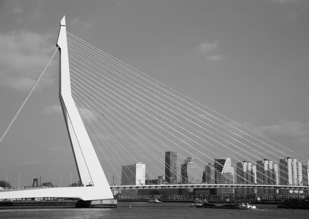 Résultats HYROX Rotterdam 2026 : top performers et classements